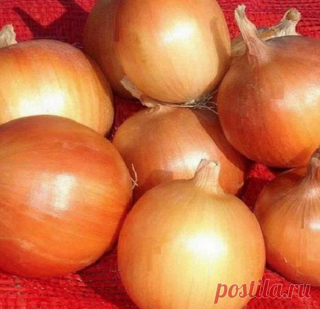 Простой способ понизить сахар в крови при диабете | Здоровье_23.0 | Яндекс Дзен