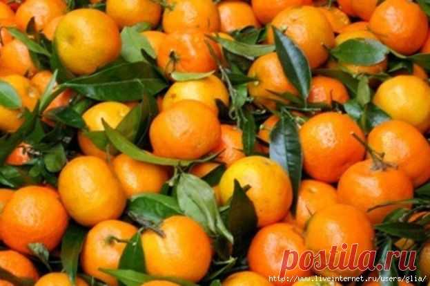 МАНДАРИНОВЫМ ЧАЕМ ОЧИЩАЮТ СУСТАВЫ ЗА МЕСЯЦ