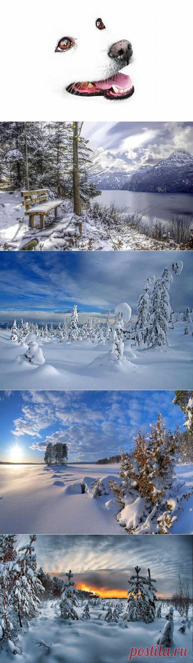 Белый — цвет зимы.