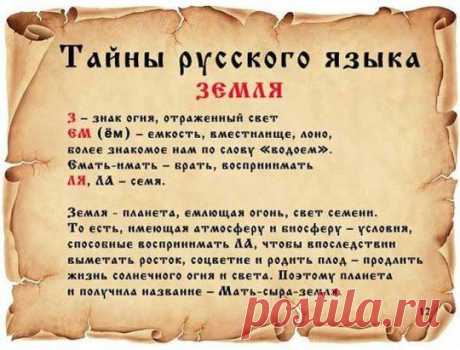 (1) Одноклассники