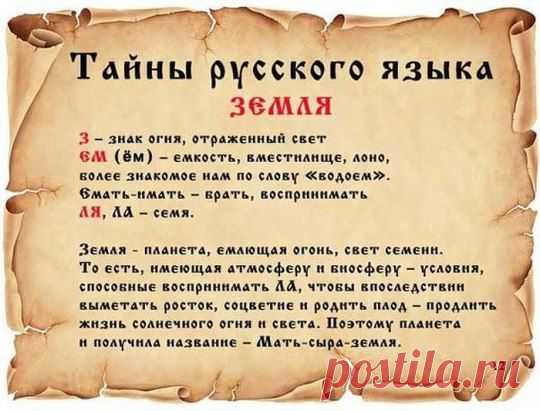 (1) Одноклассники