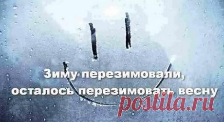 А на свете - всё судьба да случай...Александр Росков