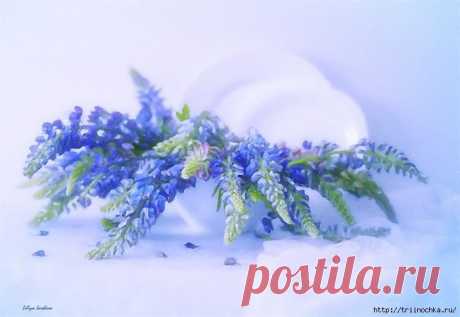 Предчувствие весны! И грусть еще не сбывшейся мечты....