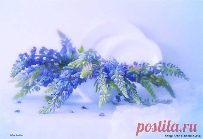 Предчувствие весны! И грусть еще не сбывшейся мечты....