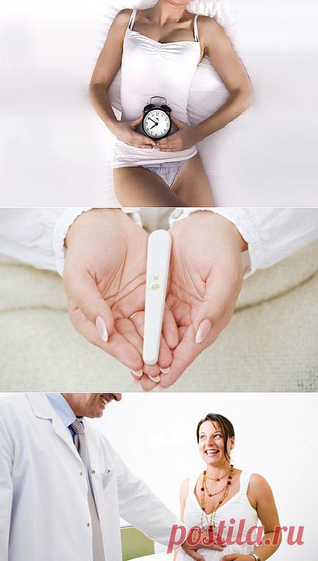 Как вызвать овуляцию традиционными и народными методами | Самые популярные и самые вкусные рецепты с видео