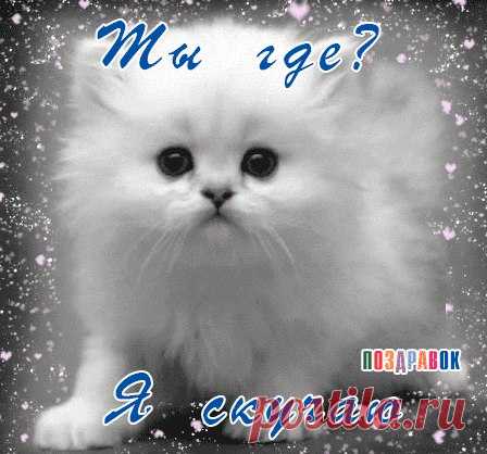 3KYmuebIxYo.jpg (448×418)