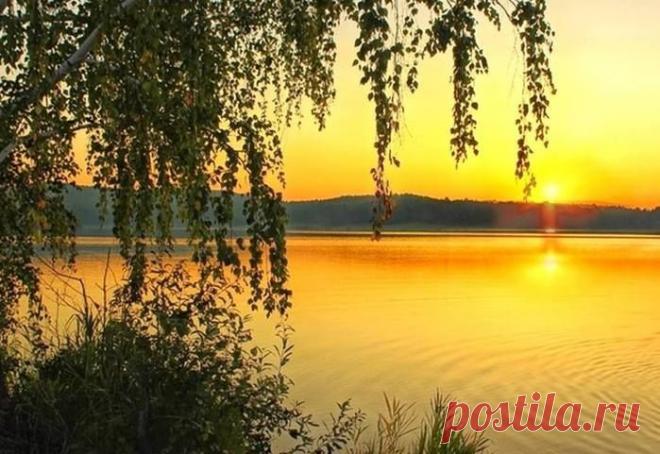 Для Счастья, как мало надо... Всё самое малое, самое тихое, самое лёгкое... Шорох ящерицы, дуновение ветра, мгновение, миг - малое, вот что составляет качество лучшего Счастья. Тише...)
Фридрих Ницше