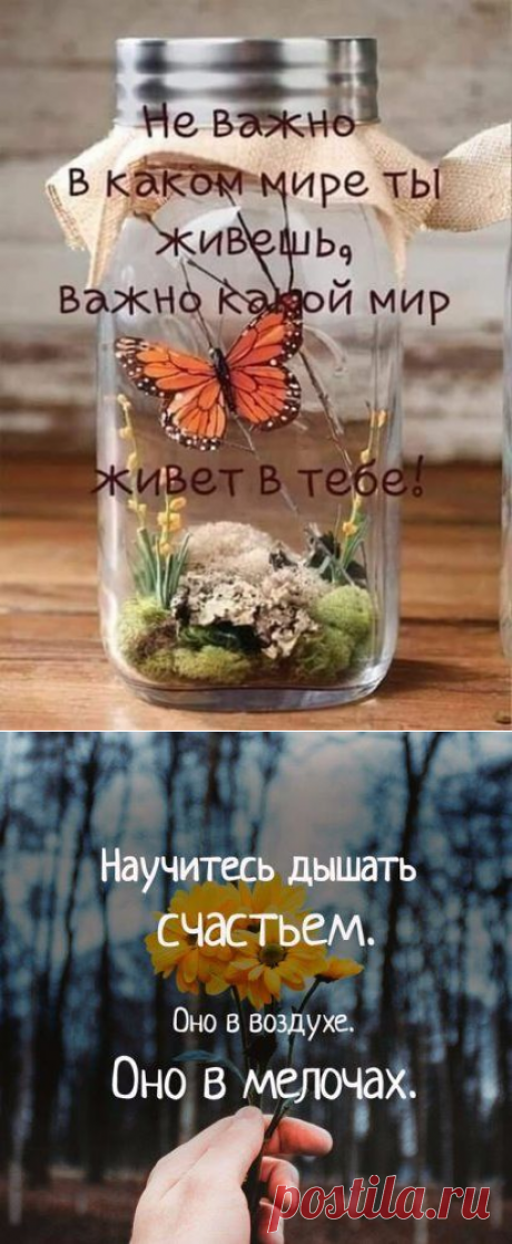 Высказывания которые зацепили :)