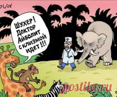 Смешные, прикольные и интересные картинки 🤣 Скачать прикольные и смешные фотки