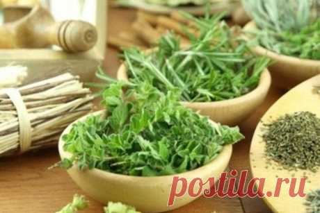 Лечение ревматизма народными средствами