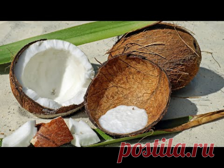 Как ОТКРЫТЬ КОКОС дома и собрать КОКОСОВОЕ МОЛОЧКО за несколько секунд - YouTube