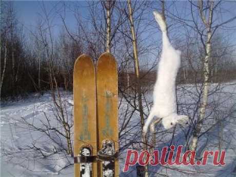 Охотничьи самоловы