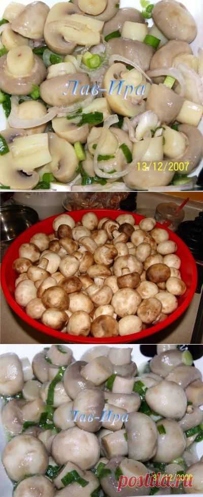 Маринованные шампиньоны : Грибы