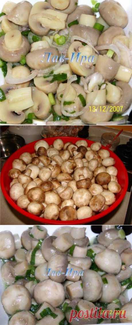 Маринованные шампиньоны : Грибы