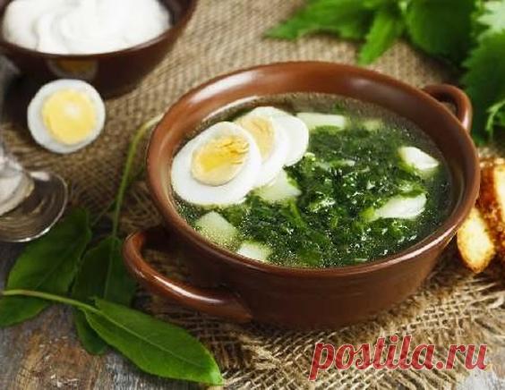 Легкие щи из щавеля - рецепт приготовления с фото от Maggi.ru