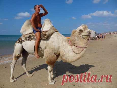 Виктор
