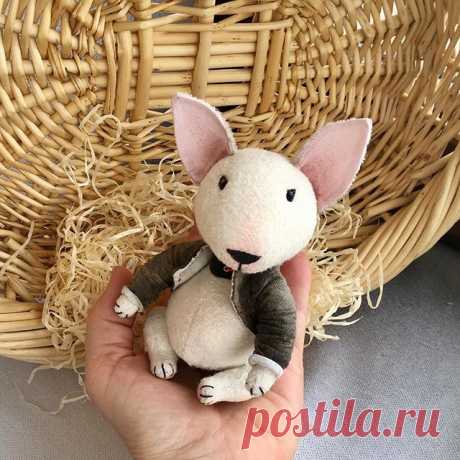💕🌷Привет, Друзья! Сегодня чудесный день! Начинается Апрель! А мне удалось записаться на МК к замечательному мастеру, которая вообще была против мк в интернете! Вот так! Надеюсь, что она не передумает ☺️☺️💕🌷. #teddy #bulterier #cute #hot #dogsofinstagram #bulterrierlove #white #whitebulldogs #nice #prettydog #amazinganimal #instasize #teddydogsocute #teddy_bear #beautydog