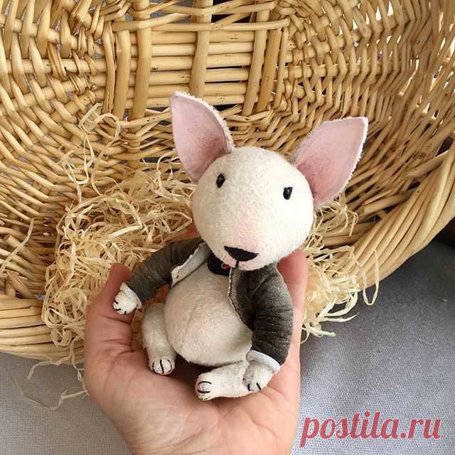 💕🌷Привет, Друзья! Сегодня чудесный день! Начинается Апрель! А мне удалось записаться на МК к замечательному мастеру, которая вообще была против мк в интернете! Вот так! Надеюсь, что она не передумает ☺️☺️💕🌷. #teddy #bulterier #cute #hot #dogsofinstagram #bulterrierlove #white #whitebulldogs #nice #prettydog #amazinganimal #instasize #teddydogsocute #teddy_bear #beautydog