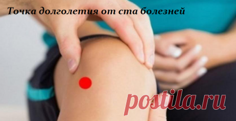 ТОЧКА ДОЛГОЛЕТИЯ ОТ СТА БОЛЕЗНЕЙ