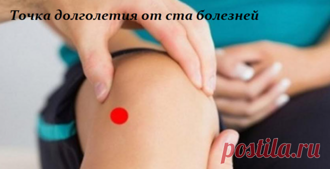 ТОЧКА ДОЛГОЛЕТИЯ ОТ СТА БОЛЕЗНЕЙ