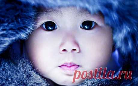 15+ Деток С Глазками Как У Кота В Сапогах, Из “Шрека”. | Лучшие истории со всего мира