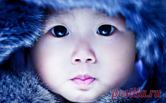 15+ Деток С Глазками Как У Кота В Сапогах, Из “Шрека”. | Лучшие истории со всего мира