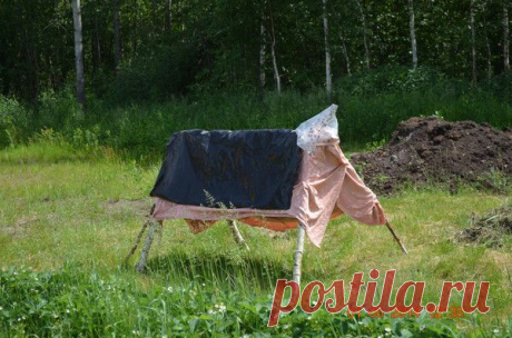 корова от слепней | Агрономия Сельское хозяйство Приусадебное хозяйство | Группы Мой Мир