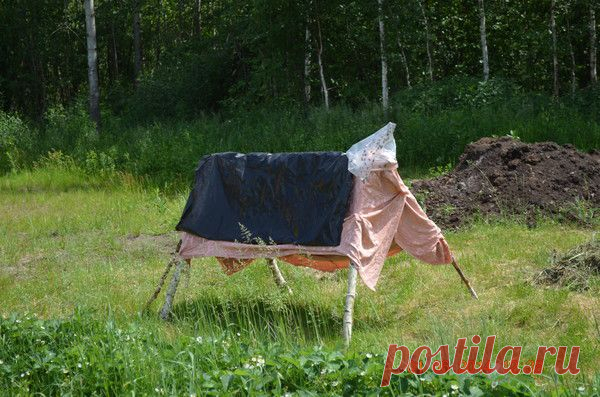 корова от слепней | Агрономия Сельское хозяйство Приусадебное хозяйство | Группы Мой Мир