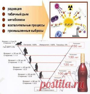 Зашлаковка, токсины, интоксикация
