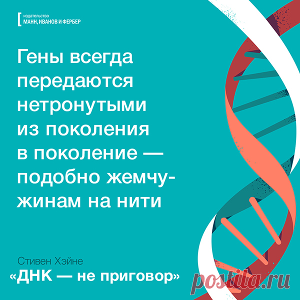 Геном содержит самые сокровенные секреты о нас
