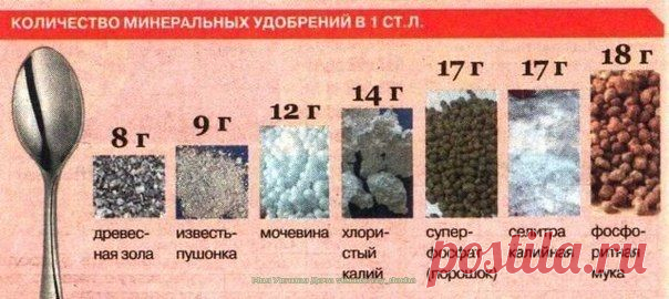 Количество удобрений в 1 ст. ложке.