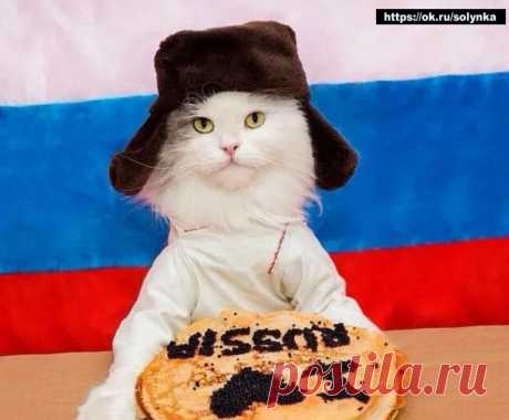 россия