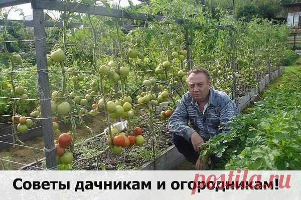 Одноклассники
