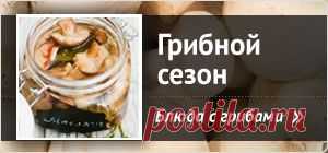 Помидоры в собственном соку - Все рецепты России