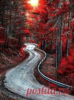 Наша Чудесная Планета: Наука и факты