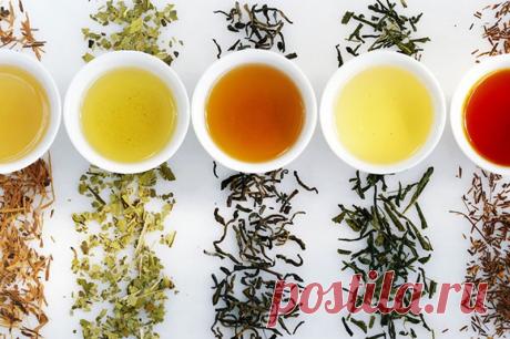 Внимание! Эти изменения ждут всех, кто пьет чай каждый день.