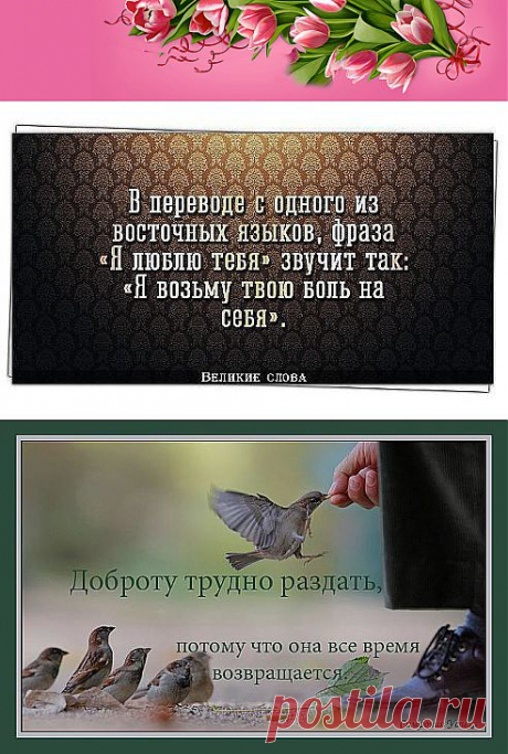 Одноклассники
