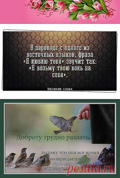 Одноклассники