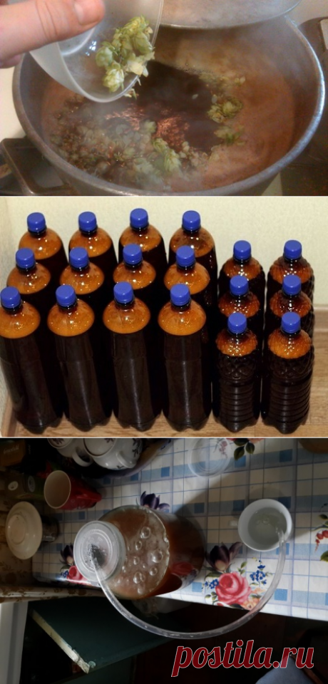 Как сделать домашнее пиво из солода, хмеля, воды и дрожжей
