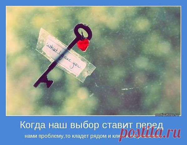 (3) Koti Dju
