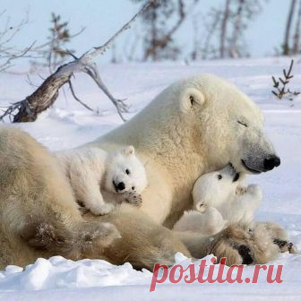 (95) Facebook