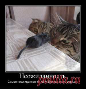 Ищу любовника
