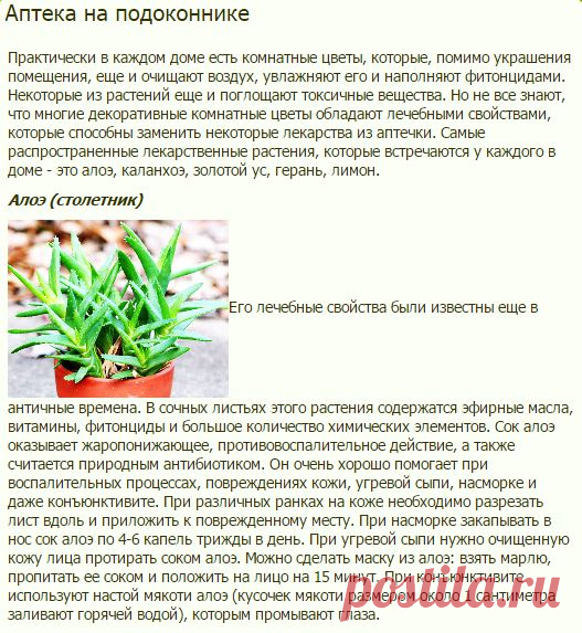 Аптека на подоконнике