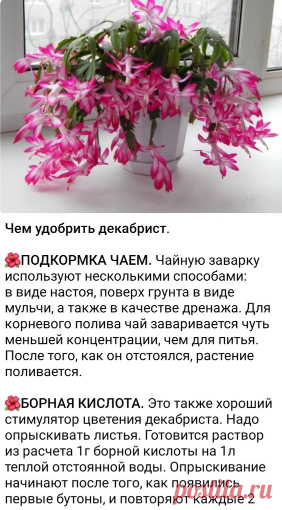 Pin page