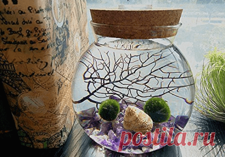 Миниатюрный аквариум как элемент декора