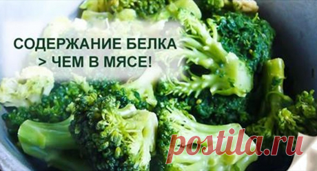 5 продуктов, в которых белка больше, чем в мясе! Едим и не полнеем! - tu-baginya.ru