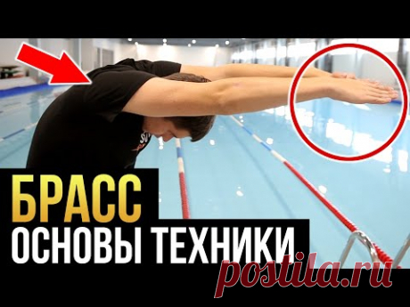 Не делай эти ошибки в брассе! Техника плавания брассом пошагово для начинающих