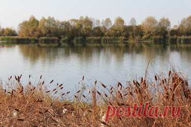 337 карточек в коллекции «Фото недели с 28 сентября по 4 октября» пользователя ЯндексКоллекции в Яндекс.Коллекциях