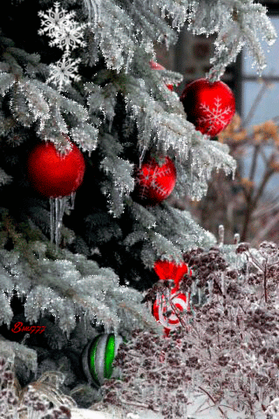 💕🌹ДОБРОЕ УТРО🌹Оглянись! В любой снежинке Жизнь несёт тебе добро. Пусть на ...