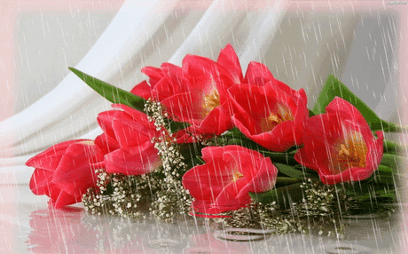 2.gif (699×434)